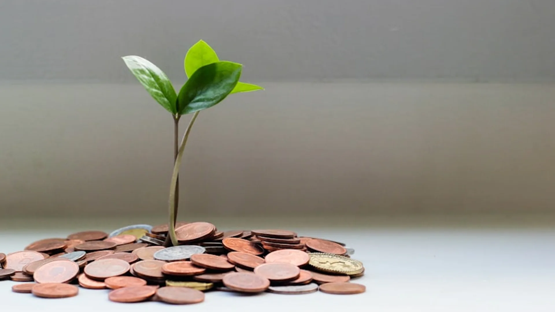 Sugar baby allowance guide 2026 — how much to ask for